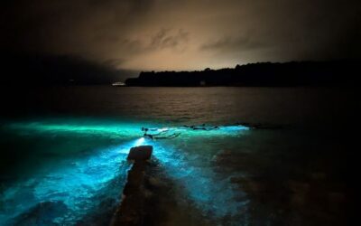 Bericht über die Kroatienreise