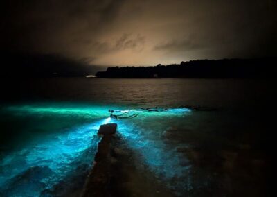 Bericht-über-die-Kroatienreise_25