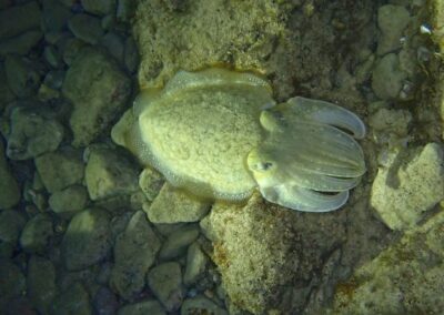 Bericht-über-die-Kroatienreise_25