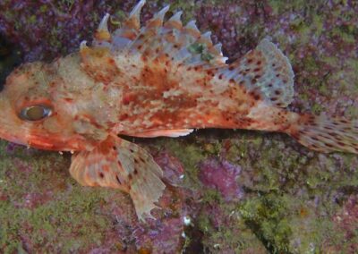 Bericht-über-die-Kroatienreise_25