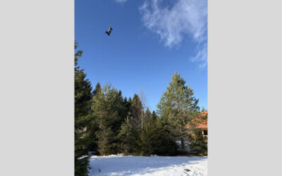 Exkursion des Geographie-Leistungskurses zur Moorstation Kaltenbronn