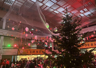 Reuchlin Lights Up Minds Wissenszauber Im Advent