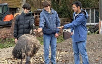 Besuch des Projektkurses bei der Wildtierhilfe in Huchenfeld