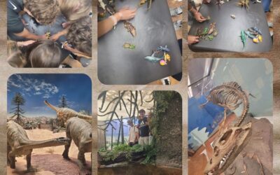 KS1 trifft Urzeit: Fossilien, Fischsaurier und die Frage nach dem Ursprung des Lebens