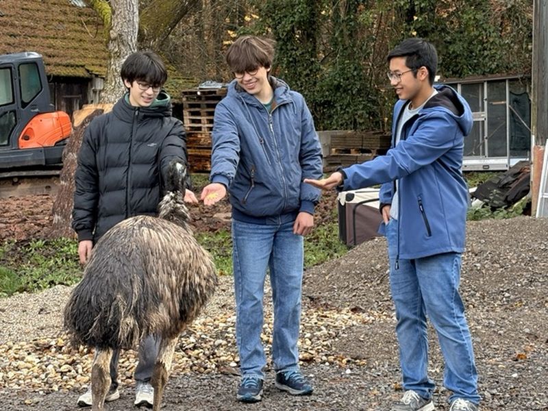 Besuch des Projektkurses bei der Wildtierhilfe in Huchenfeld